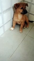 Colette is feeling really hot