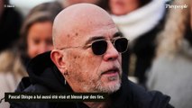 Pascal Obispo, Johnny Hallyday, Bob Marley... Histoires connues ou méconnues de ces stars se sont fait tirer dessus