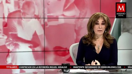 "Tradiciones y costumbres no justifican el maltrato animal": PVEM