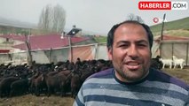 Doğu'da Tarım ve Hayvancılık Sezonu Başladı