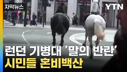 [자막뉴스] 런던 도심 질주한 말 두 마리...대체 무슨 일? / YTN