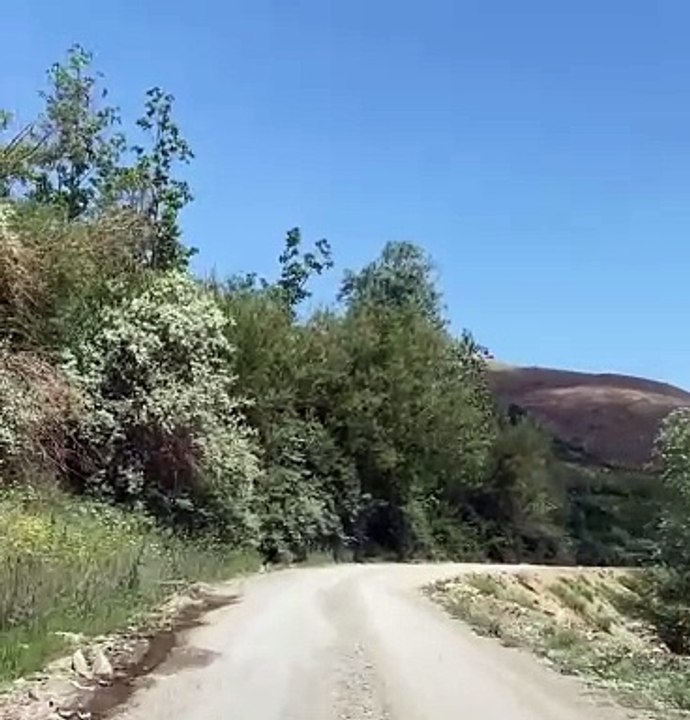 metmanis