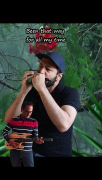 CCR -Have You Ever Seen The Rain | Harmonica Cover #harpmanofperth #ccr #haveyoueverseentherain #dailymotion #videos #music #song #cover