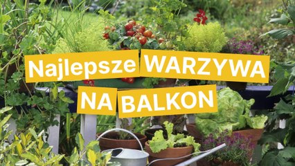 Top Warzywa na Balkon: Łatwe i Smaczne Uprawy w Doniczkach 🌱