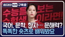 [희대의 구독중] 국어, 문학, 한자…문해력? 똑똑한 숏츠로 배워봐요 국어강사 유튜버 수아쌤 2편