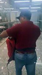 1300多天没见 熊猫奶爸飞中国见“暖暖”