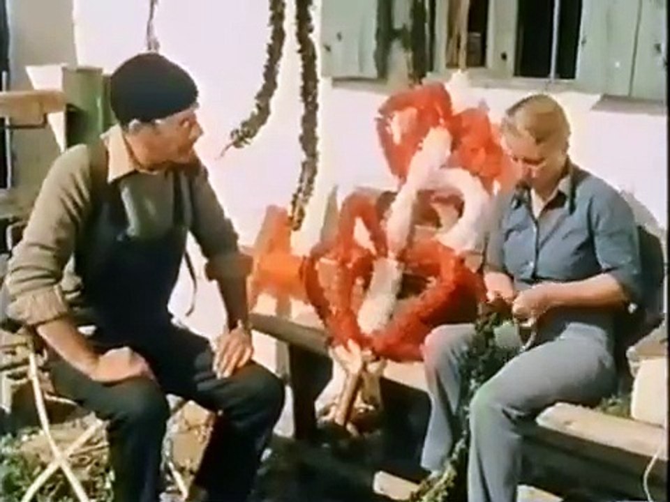 Pusteblume Folge. 21