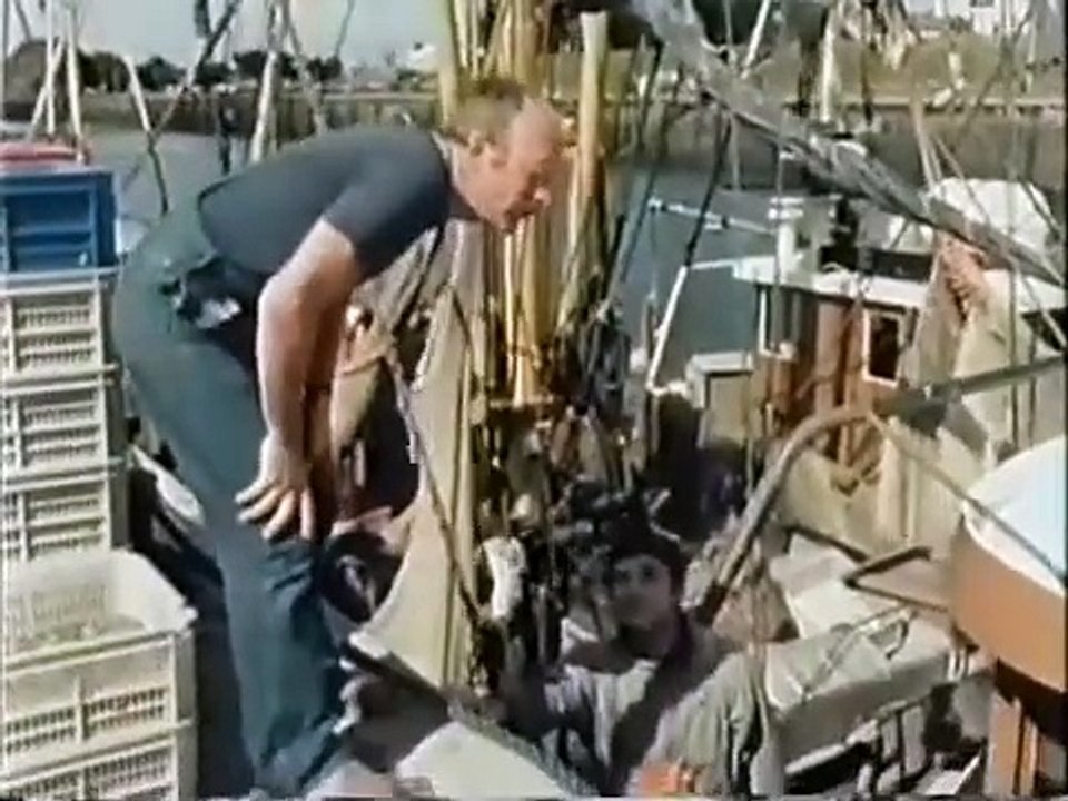 Pusteblume   22   Peter und das Seehundbaby