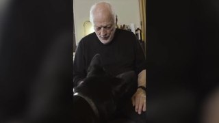 Pink Floyd: David Gilmour’s dog dances in video announcing singer’s new album