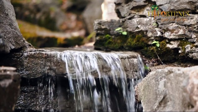 200-Hour Yoga Teacher Training Course In Rishikesh, India