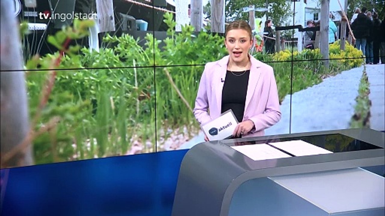 Anna-Lena Werkmann - News aktuell  tv.ingolstadt 23.04.2024