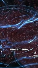 Anxiété ou Dépersonnalisation? Les étiquettes de l'angoisse 