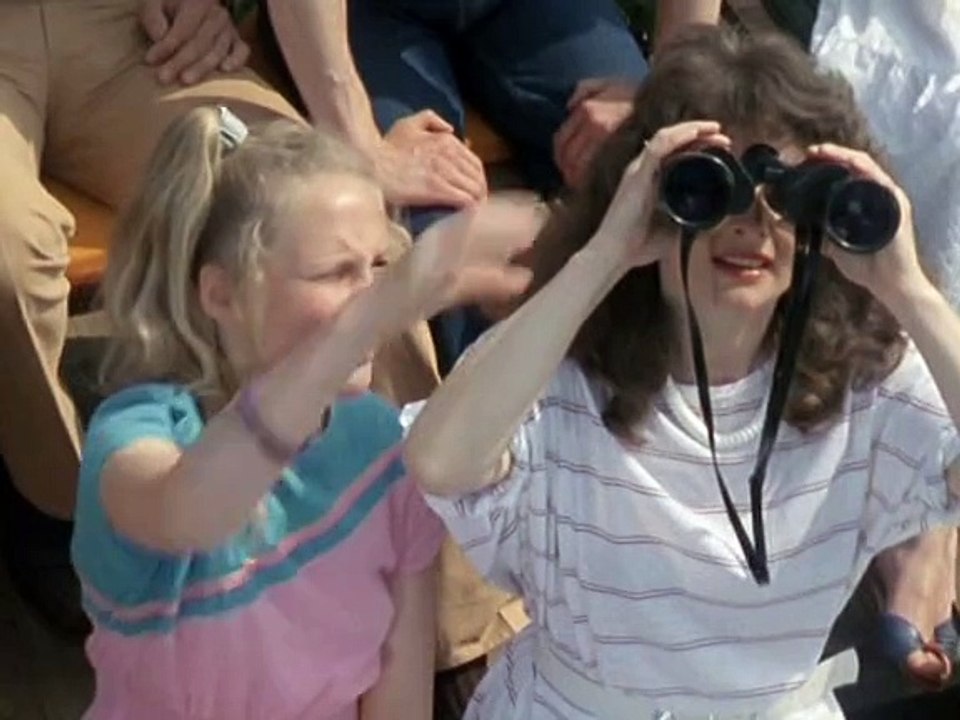 Flugstaffel Meinecke (DDR 1989) E04-Sturzflug