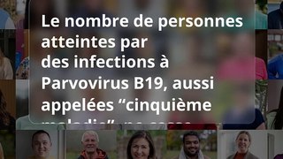 L’épidémie d’infections à Parvovirus B19 s’étend