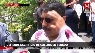 Controversia en el Senado por ritual de sacrificio de gallina para Tláloc