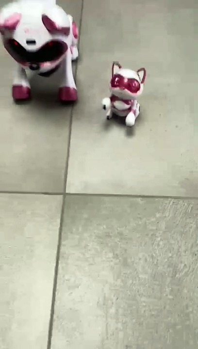 Chat robotique Teksta newborn