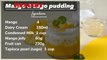 Easy Mango Recipe /Mango Jelly Milk Pudding Recipe