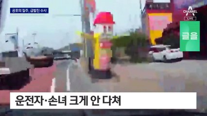 손녀 태운 차 ‘공포의 질주’…“급발진” 주장