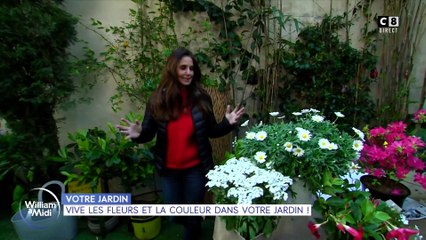 Votre jardin : vive les fleurs et la couleur dans votre jardin !
