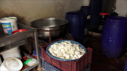 Kaçak peynir imalathanesi mühürlendi