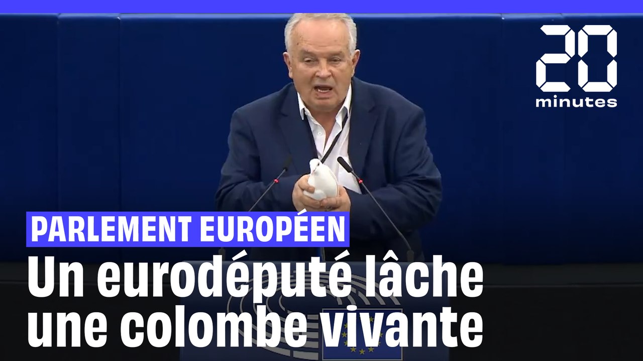 Bruxelles : un eurodéputé lâche une colombe vivante à l'intérieur du Parlement européen