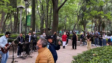 Last Train To London-You Should Be Dancing Medley (Live) - Los Bichos del Sótano