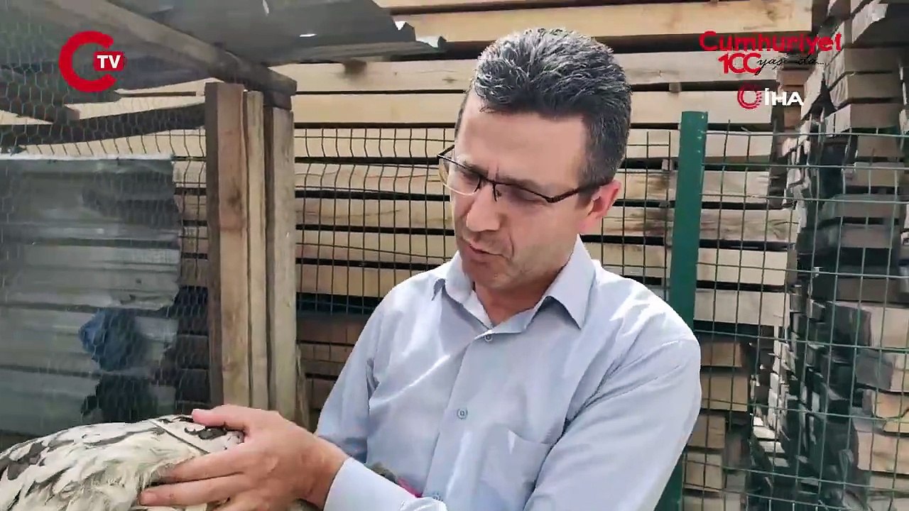 Böylesi görülmedi: Tavuk mu horoz mu?