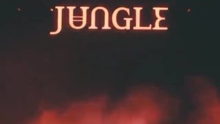 Coachella: Jungle Full Interview