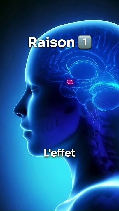 Les 3️⃣ bienfaits de la Méditation ‍‍| Partie 2/3