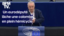 Un eurodéputé lâche une colombe en plein hémicycle