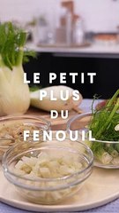 Les Bienfaits Insoupçonnés du Fenouil 🥗