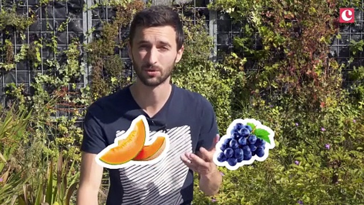 Les tendances food de septembre - Le temps d'un café avec le Chef Liguori