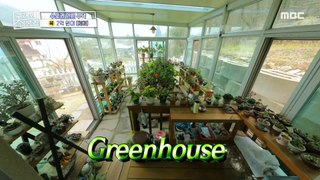 [HOT] Hidden multipurpose room full of green pots, 구해줘! 홈즈 240425