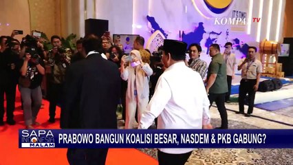 Sinyal Merapat ke Pemerintahan Prabowo, Nasdem: Ingin Bersama-sama untuk Bangsa