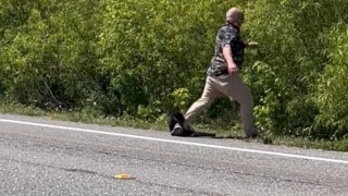 Kindness meets claws: Man's roadside rescue attempt takes a wild turn