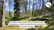 Si enseñas a tus hijos a hacer esto los estarás haciendo más resilientes y felices. En los países nórdicos lo hacen siempre