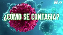 ¿Qué es el citomegalovirus y cómo se transmite por contacto sexual? - #MSP