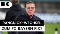 Entscheidung steht? Ralf Rangnick geht zum FC Bayern