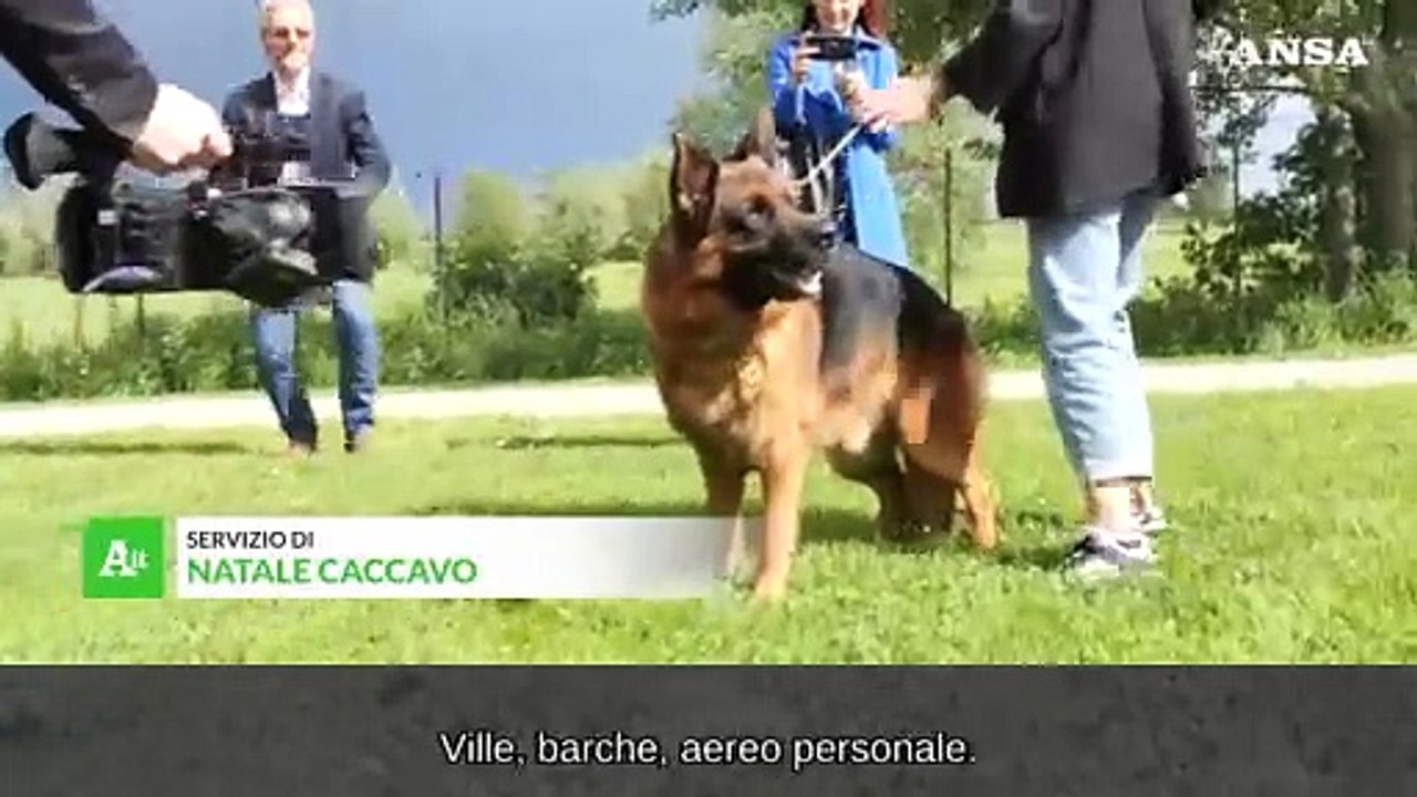 Il cane piu' ricco del mondo ha adottato un altro animale, e' la prima volta