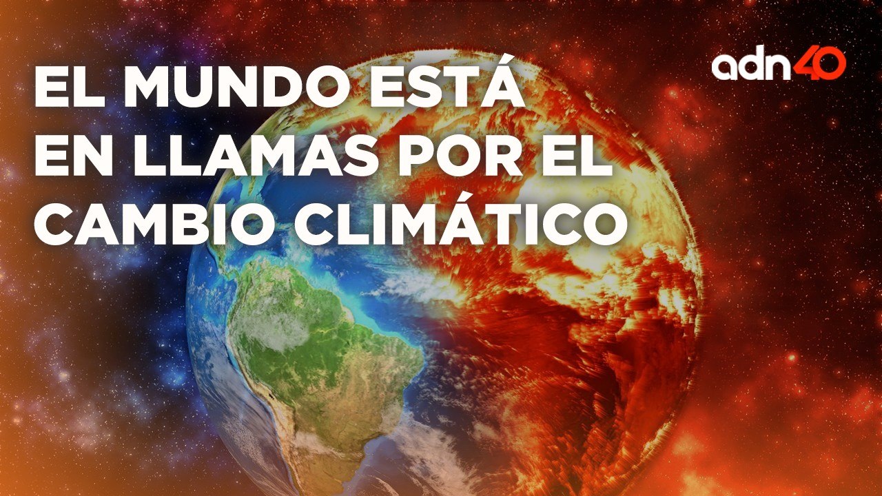 ¿Apostarle a las energías renovables resolverá los problemas ambientales en México? I Todo Personal