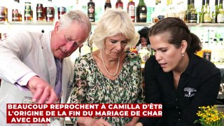 Princesse Diana : voici pourquoi elle ne croyait pas que Camilla était la raison de son divorce avec le roi Charles
