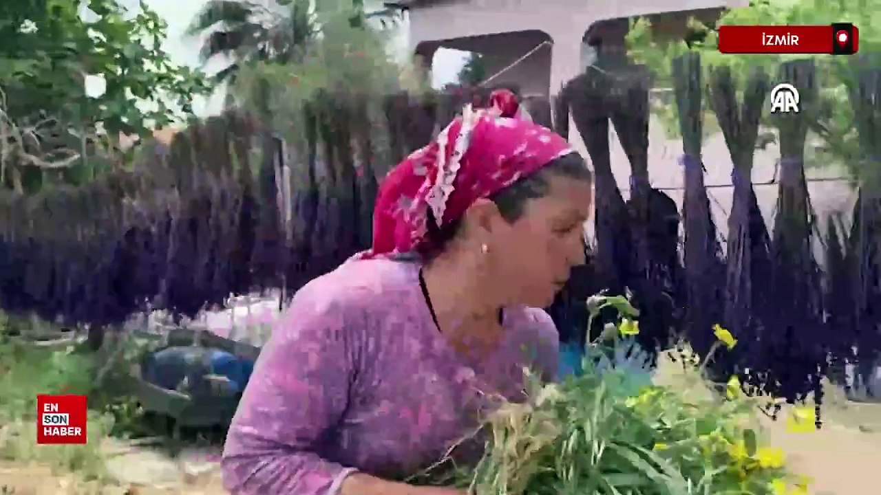 Kuru otlar, İzmir'de bir kırsal mahallenin geçim kaynağı oldu