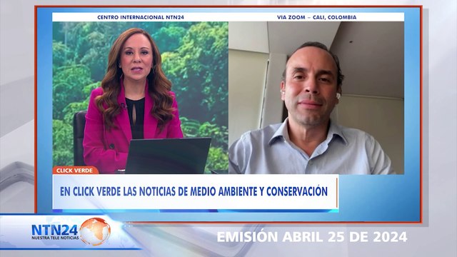 Cali la ciudad con más de 500 especies de aves será la sede de la Cumbre internacional de Biodiversidad