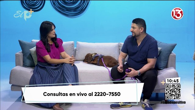 Entrevista - Consejos para bañar a nuestras mascotas