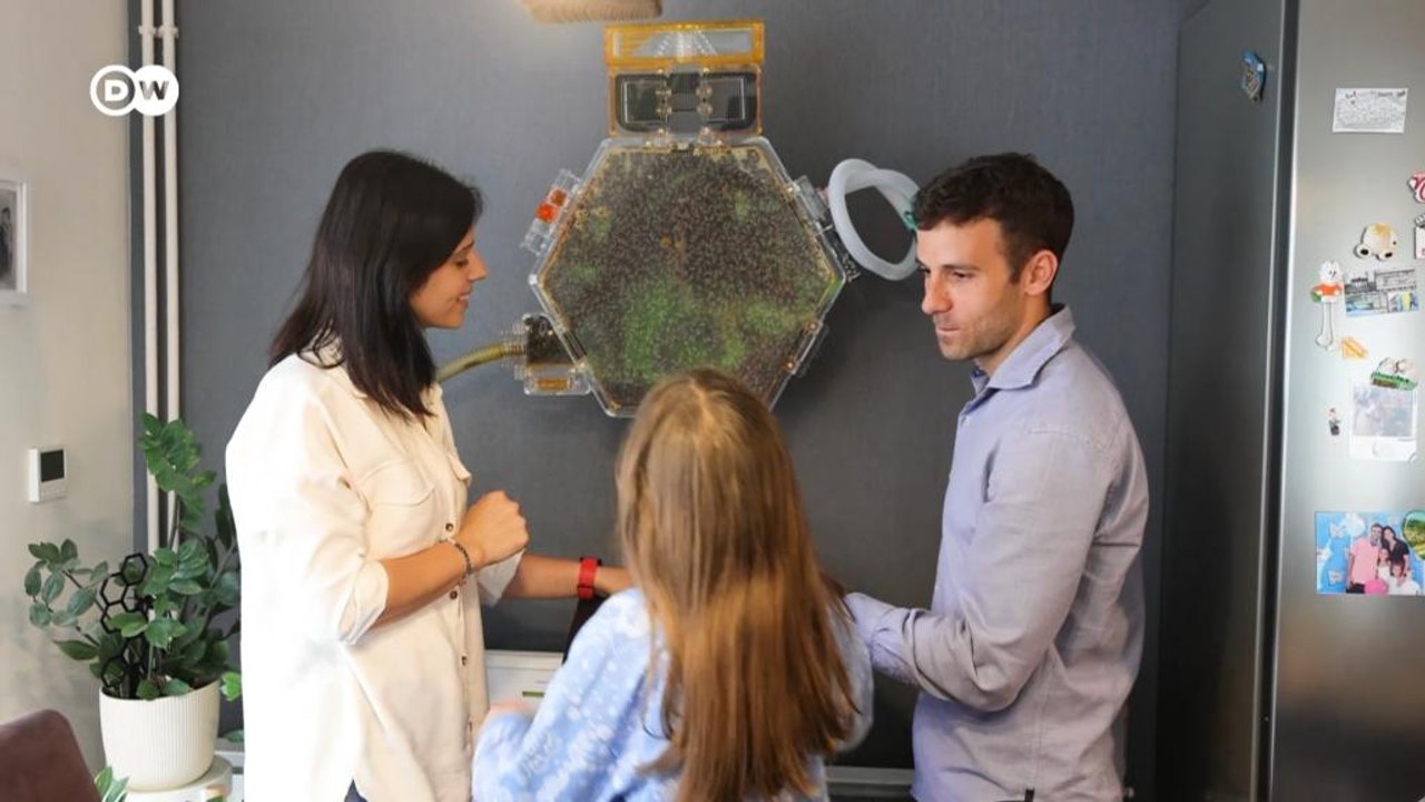 Serbien: Bienenstock im Wohnzimmer