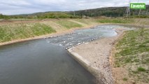 La plus longue rivière artificielle de Wallonie sur le site éclusier d'Ampsin-Neuville : un paradis pour les poissons