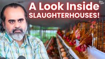 Unveiling the Cruelty: A Look Inside Slaughterhouses || Acharya Prashant, on Veganism (2019)