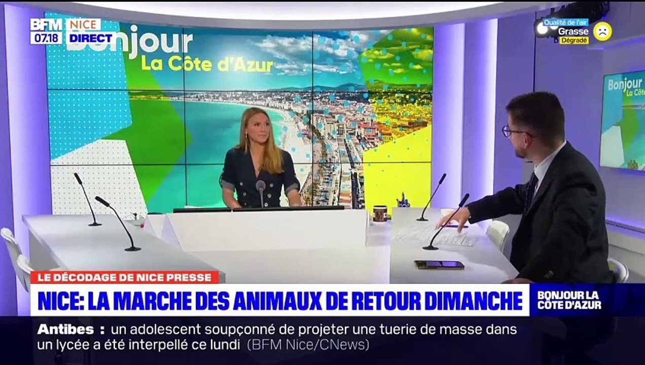 À ne pas rater : une parade des animaux sur la Promenade des Anglais de Nice ce week-end