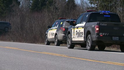 Agression armée dans la Mitis, un homme et une femme arrêtés à Notre-Dame-des-Neiges