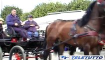 Video News - Al via Travagliato Cavalli
